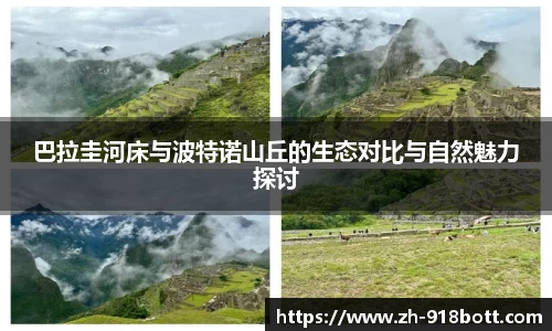 918博天堂首页